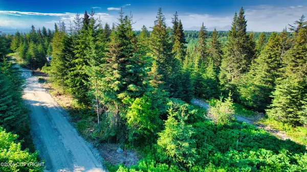 Anchor Point, AK 99556,34940 Seabury CT