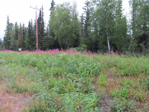 Kasilof, AK 99610,53135 Sterling HWY