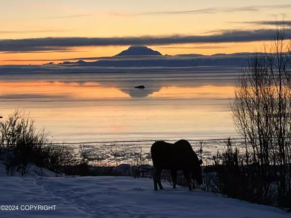 Kenai, AK 99611,36775 Chinulna DR