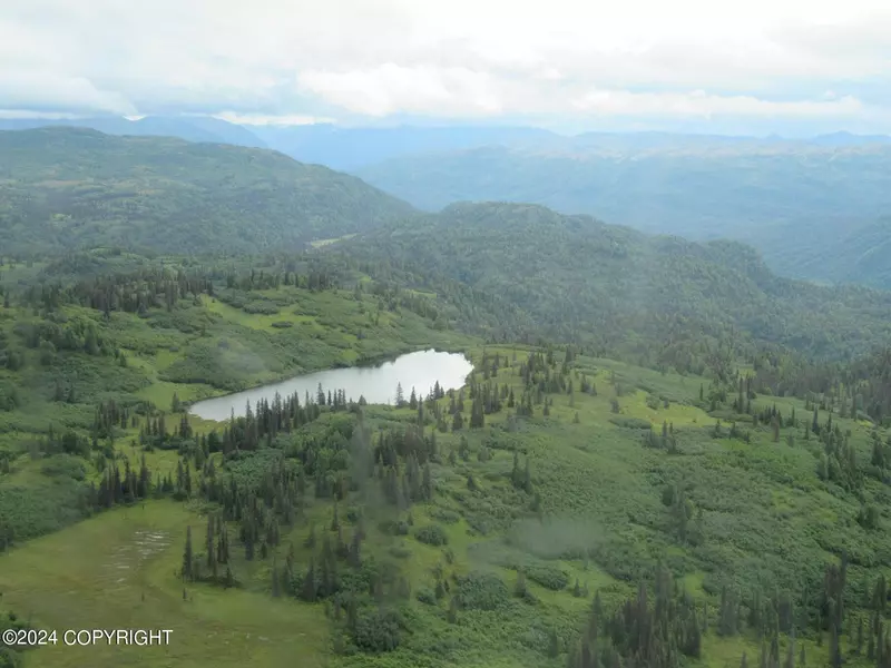 Tr R No Road, Talkeetna, AK 99676