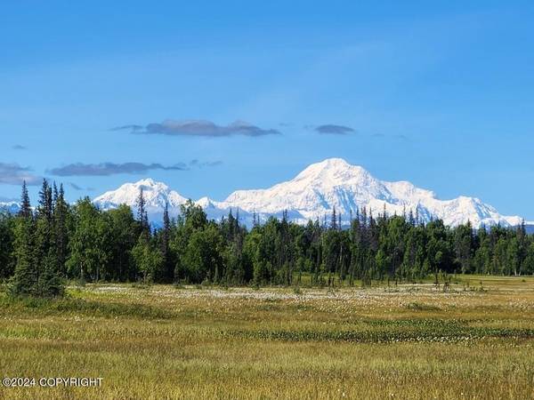 Tr B No Road TRL, Trapper Creek, AK 99683