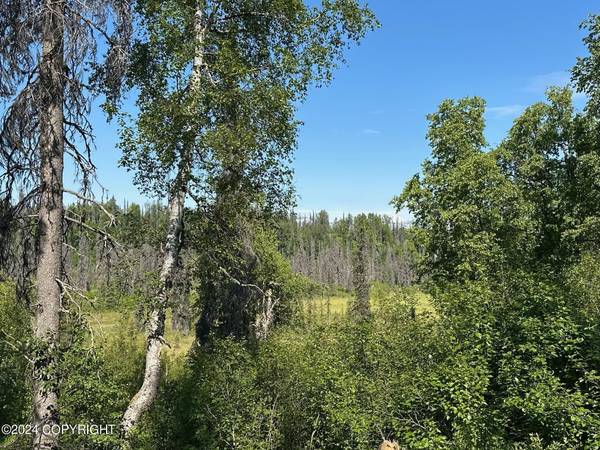 13030 W Petersville RD, Trapper Creek, AK 99683