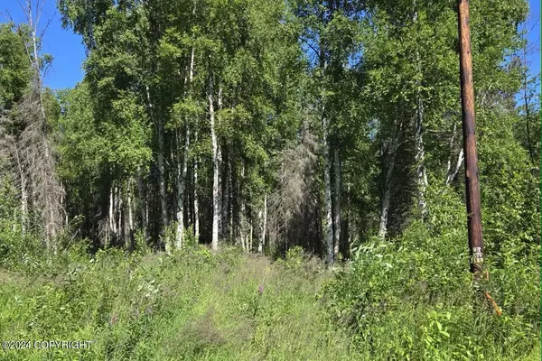 Talkeetna, AK 99676,49701 S Denali View Drive