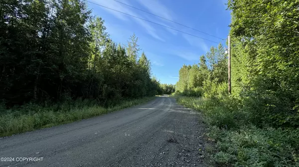 Willow, AK 99688,9353 N Blackie LOOP