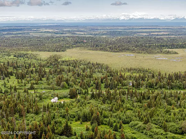 Nikolaevsk, AK 99556,31790 Kostino ST