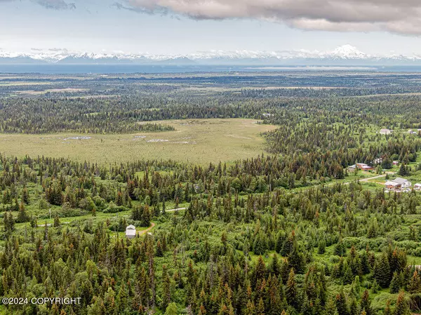 Nikolaevsk, AK 99556,31790 Kostino ST