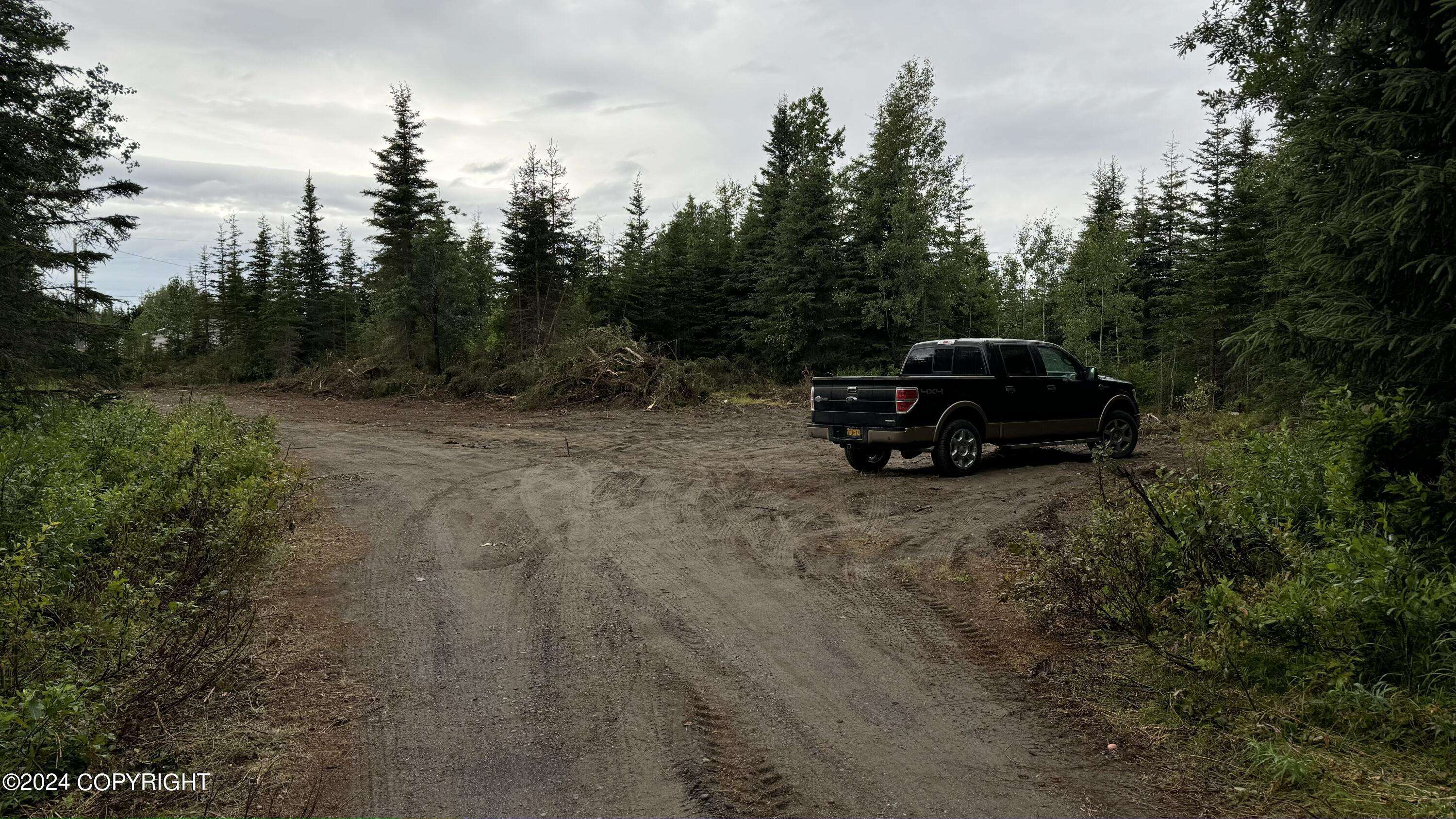 Soldotna, AK 99669,38819 N Ruby CIR