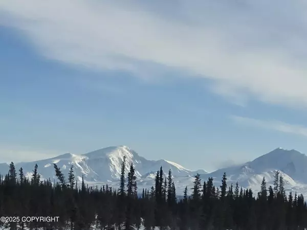 Copper Center, AK 99573,L43 Cottonwood DR