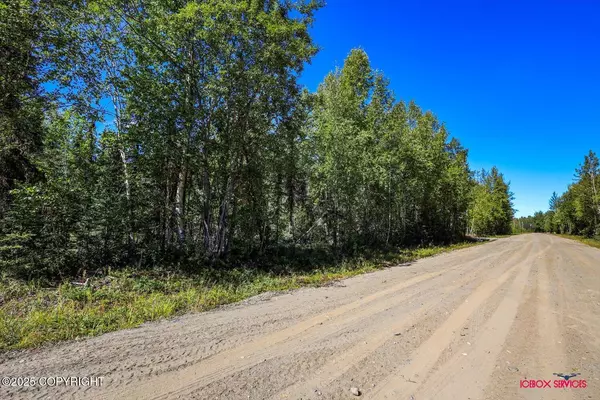 Willow, AK 99688,L7 E Beaver DR