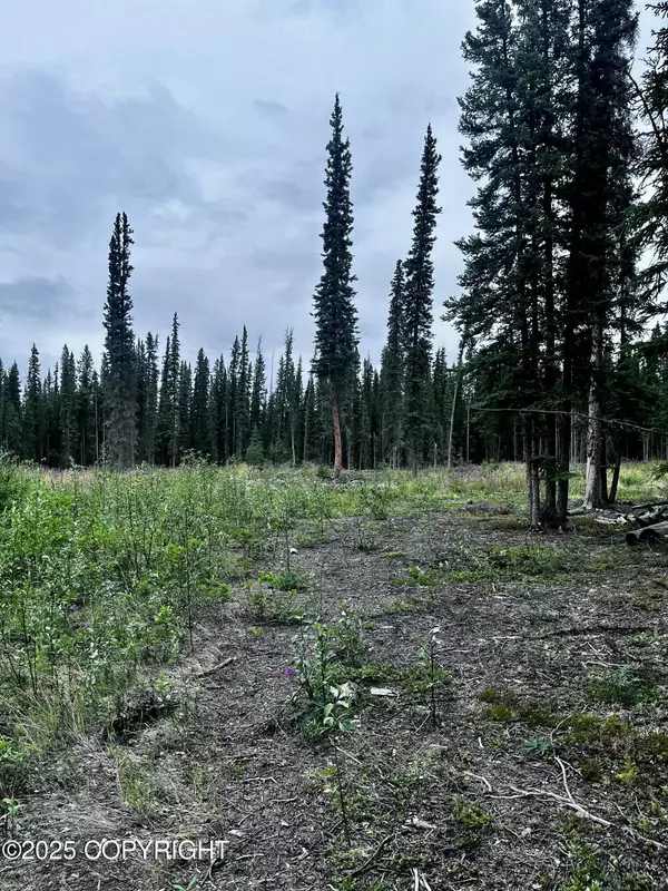 L13 Borealis AVE, Tok, AK 99780
