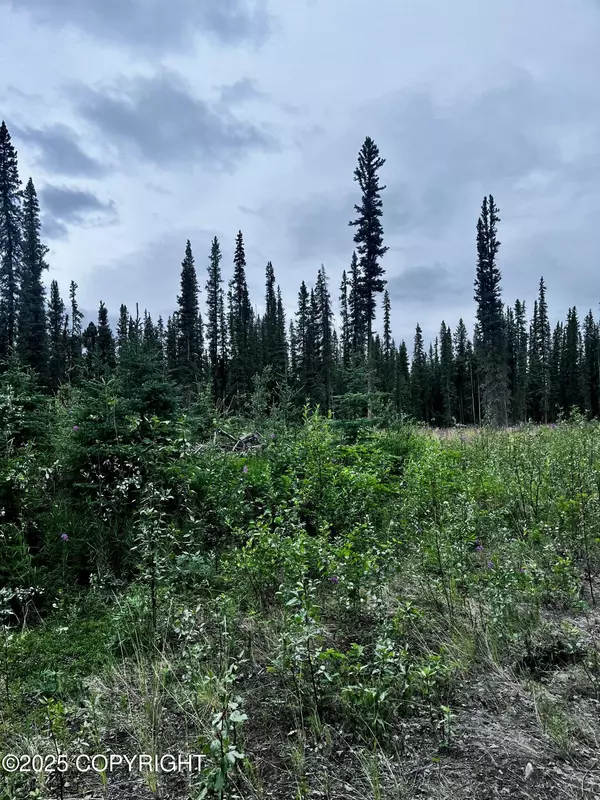 Tok, AK 99780,L13 Borealis AVE