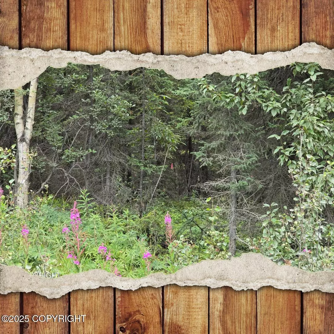 Soldotna, AK 99669,34290 Browns Lake RD