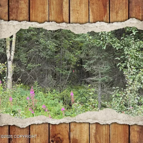 34290 Browns Lake RD, Soldotna, AK 99669