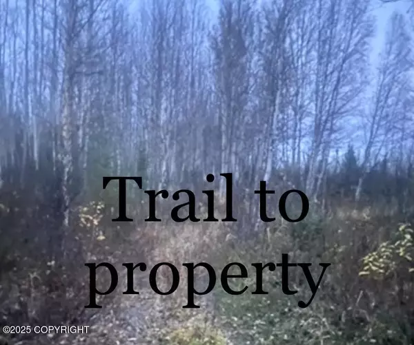 Wasilla, AK 99623,C007 No Road