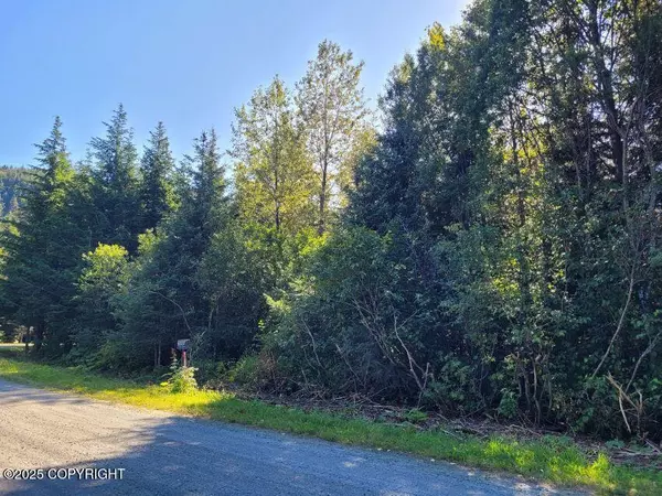 Haines, AK 99827,Parcel A Chilkat State Park RD