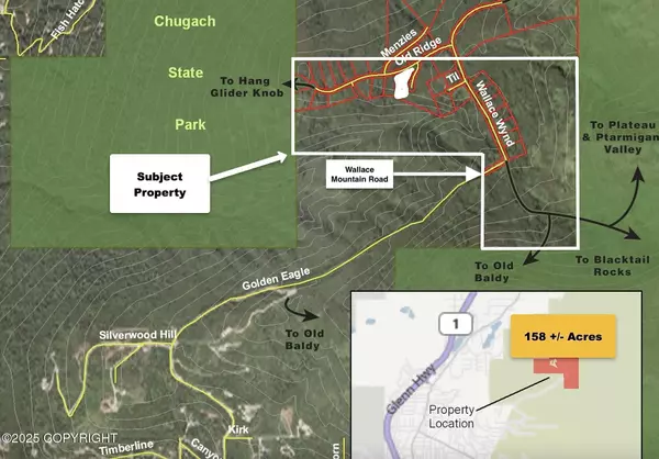 NHN Wallace Mountain RD, Eagle River, AK 99577