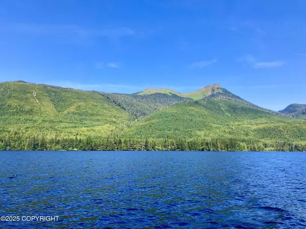 Klawock, AK 99925,L44 Klawock lake remote