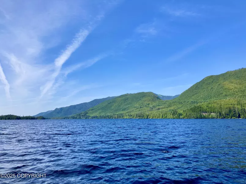 L45 Klawock Lake remote, Klawock, AK 99925