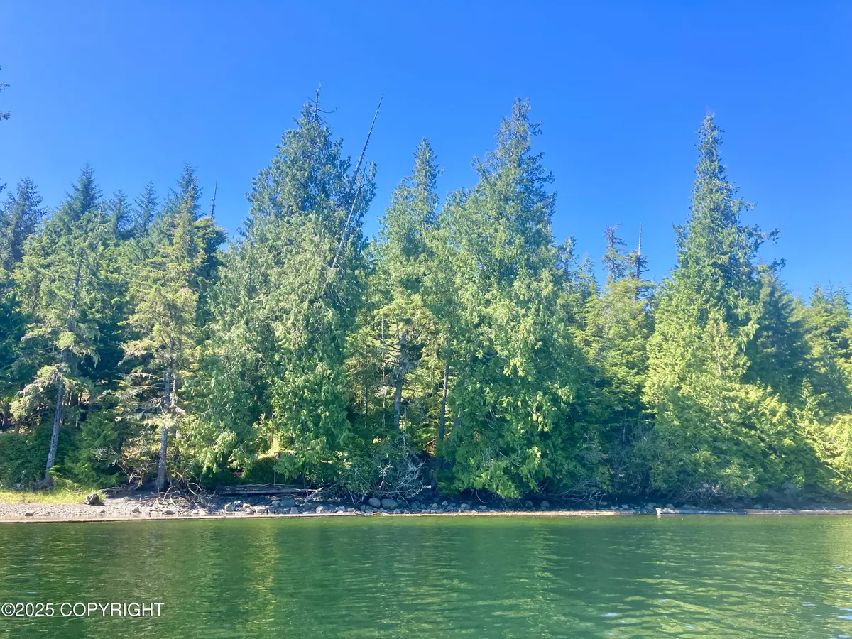 Klawock, AK 99925,15B Wadleigh Island