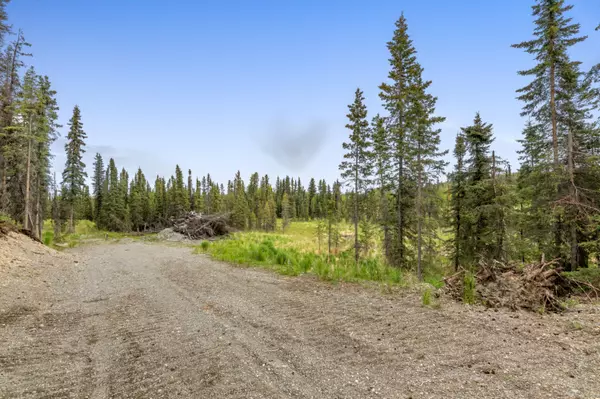 Soldotna, AK 99669,42063 Jay Bird CT