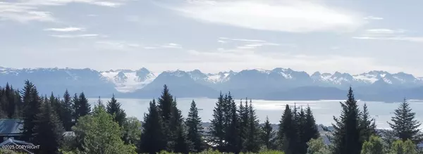 560 Fireweed AVE, Homer, AK 99603