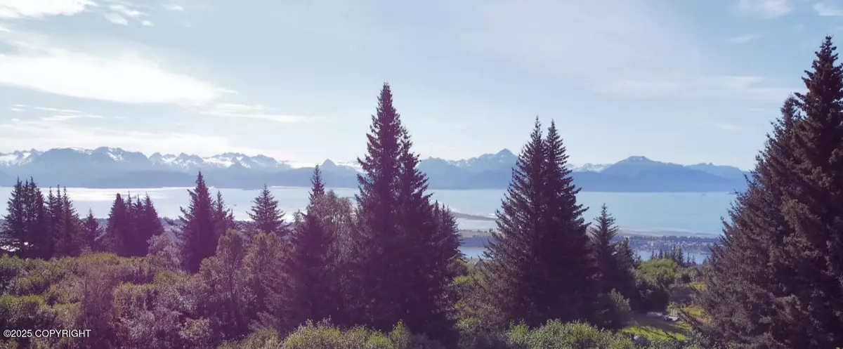 Homer, AK 99603,560 Fireweed AVE