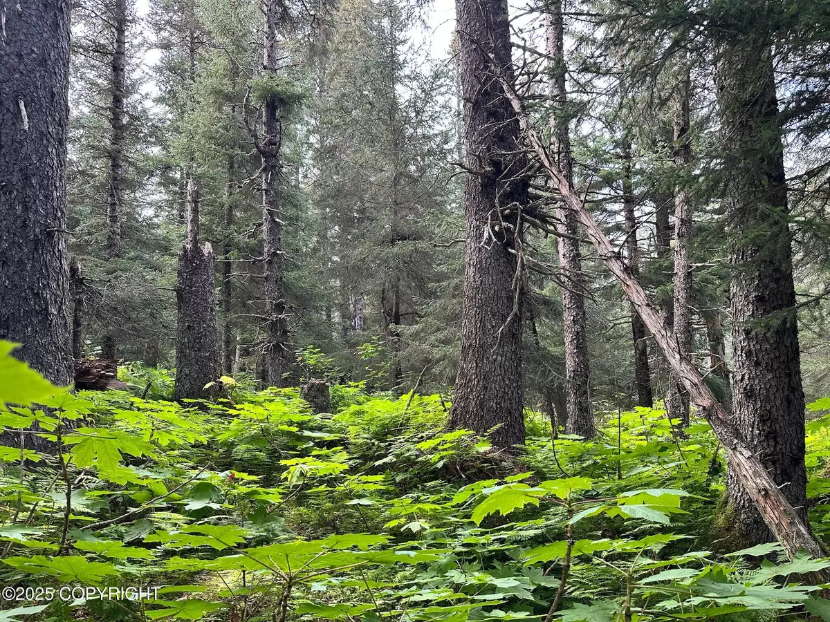 Seldovia, AK 99663,L11 B11 Nutbeem RD