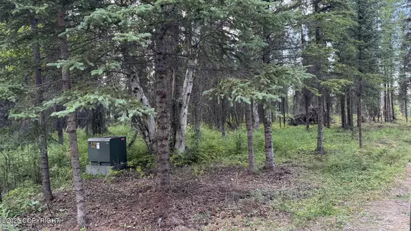 Sterling, AK 99672,37322 Summer PL