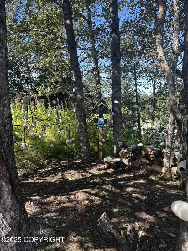 Anchor Point, AK 99556,73528 Breakaway RD
