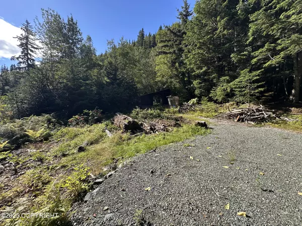 Haines, AK 99827,L2 B7 Young RD