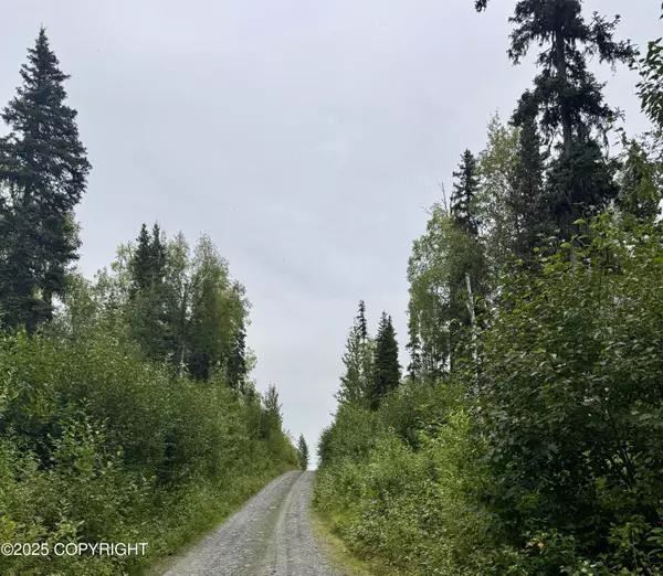 Soldotna, AK 99669,L14 PW Shady Acres