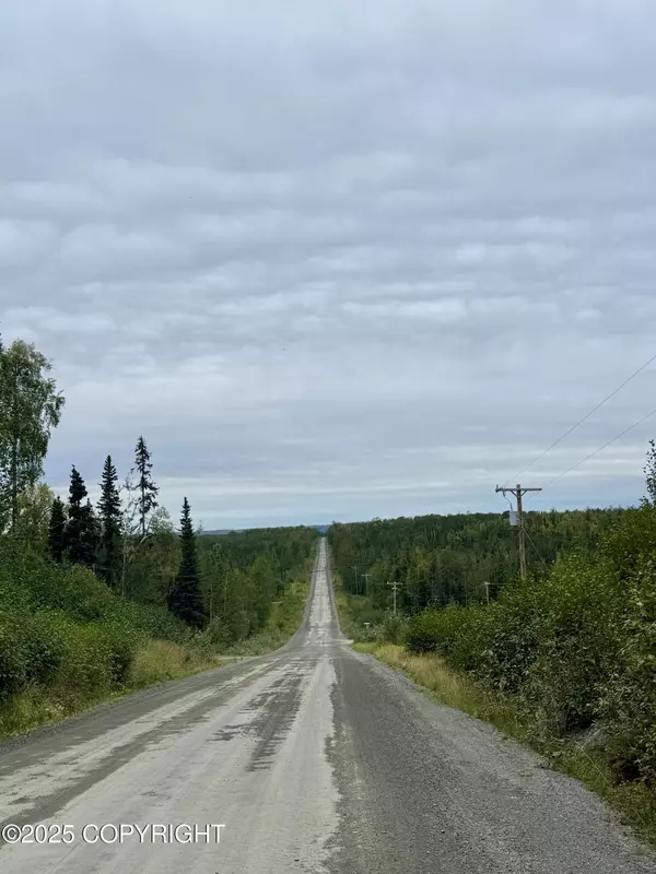 Soldotna, AK 99669,L14 PW Shady Acres
