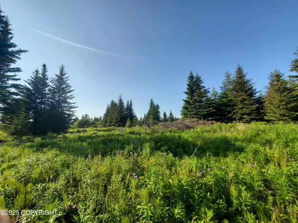 Ninilchik, AK 99639,17455 Chefornak ST