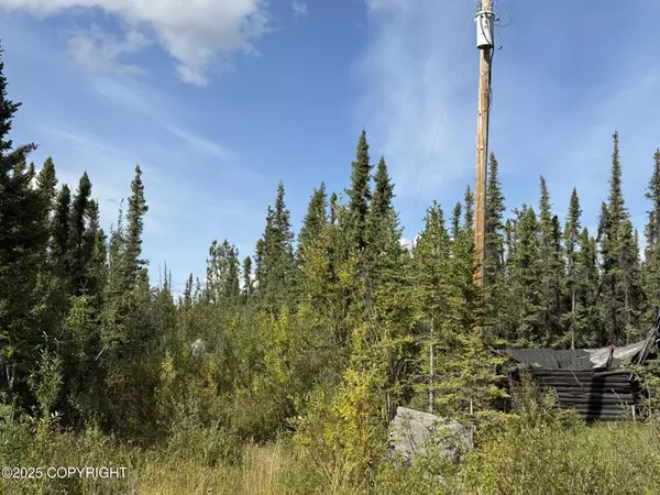 Glennallen, AK 99588,Mile 188.2 Glenn HWY