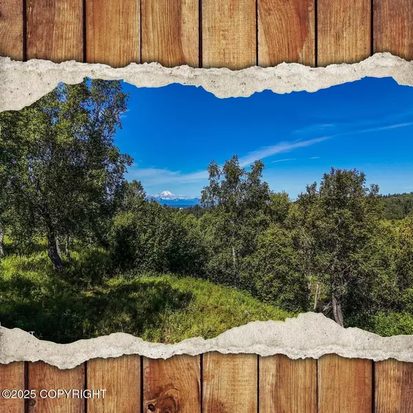 15522 Tovarish RD, Ninilchik, AK 99639