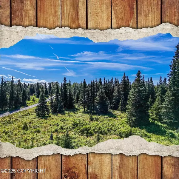 15737 Cecelia ST, Ninilchik, AK 99639