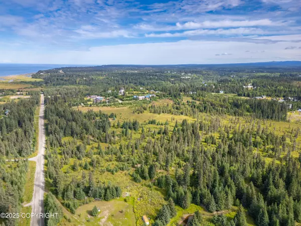 Anchor Point, AK 99556,35206 Danver ST
