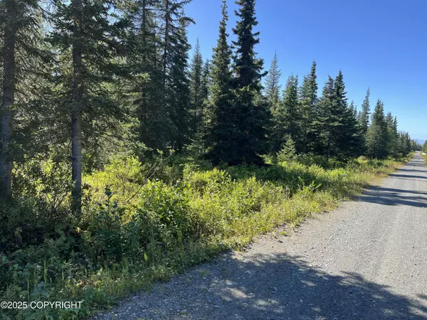 Clam Gulch, AK 99568,L1B4 Clammers Haven DR