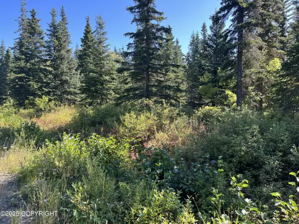 Clam Gulch, AK 99568,L1B4 Clammers Haven DR