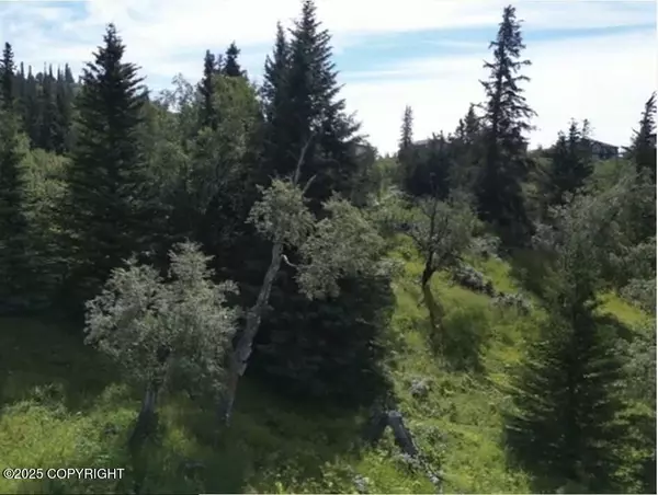 L6 Panoramic CIR, Anchorage, AK 99516