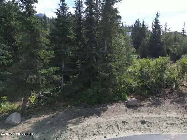 L7 Panoramic CIR, Anchorage, AK 99516