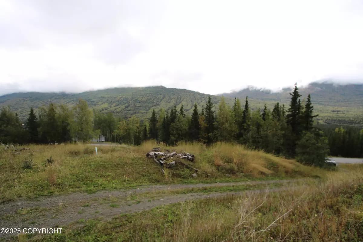 Eagle River, AK 99577,L3 Harmany Ranch RD