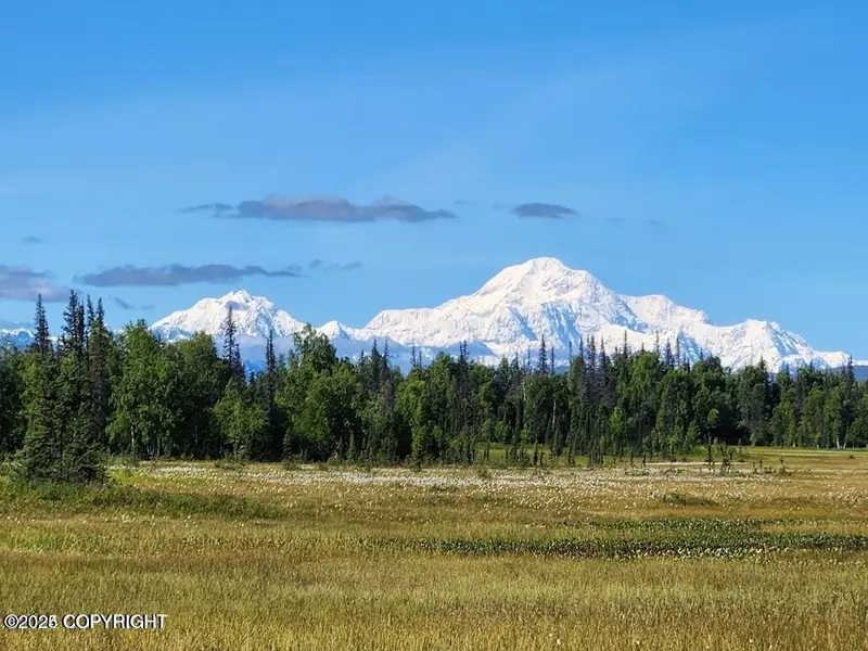 Tr B ASLS 87-066, Trapper Creek, AK 99683