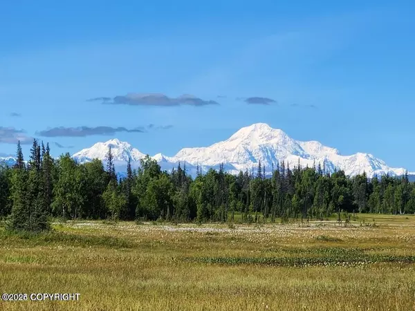 Tr B ASLS 87-066, Trapper Creek, AK 99683