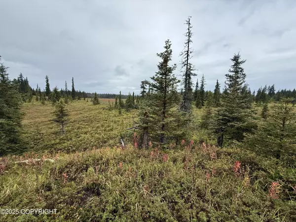 Homer, AK 99603,68576 Eight Mile PL