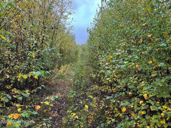 Willow, AK 99688,25892 W Rebecca WAY