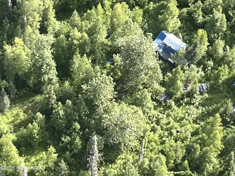 NHN ASLS 92-002, Skwentna, AK 99667