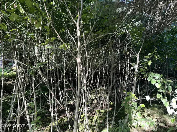 Seldovia, AK 99663,301 Anderson WAY