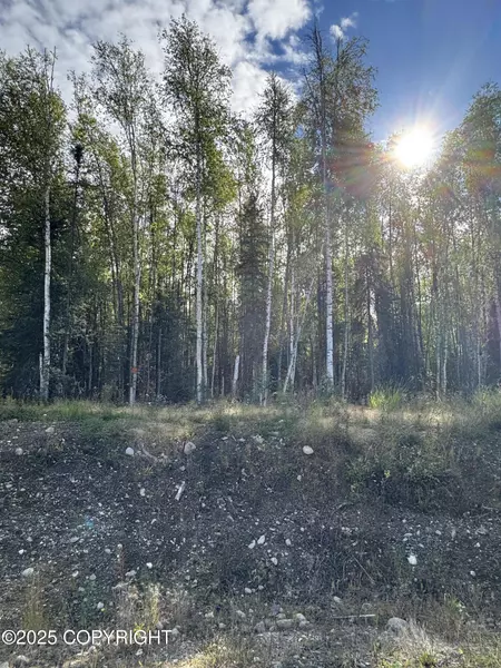 3361 N Carrillo CIR, Wasilla, AK 99623