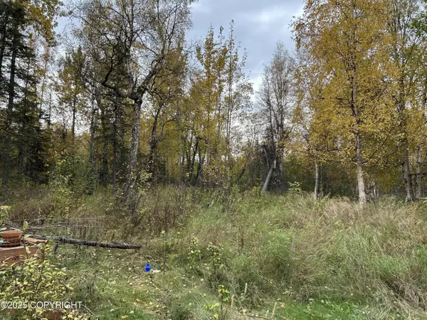 Wasilla, AK 99645,460 S August CIR